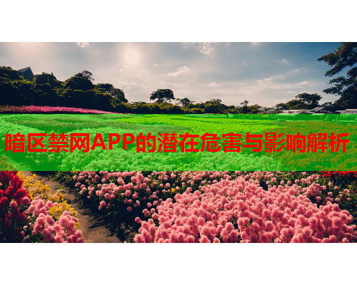 暗区禁网APP的潜在危害与影响解析 暗区禁网APP的潜在危害与影响解析