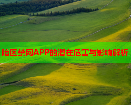 暗区禁网APP的潜在危害与影响解析 暗区禁网APP的潜在危害与影响解析