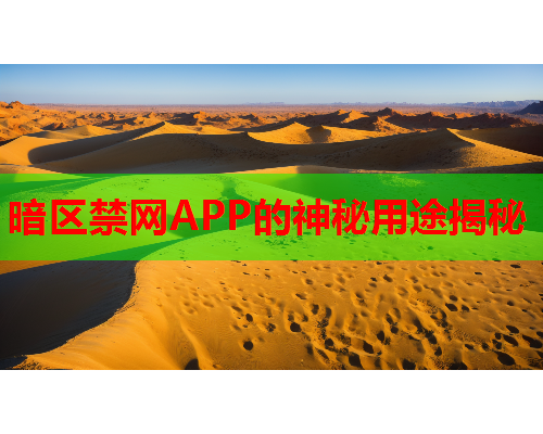 暗区禁网APP的神秘用途揭秘 暗区禁网APP的神秘用途揭秘