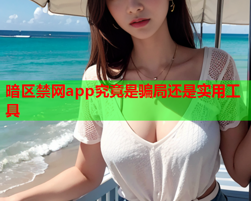 暗区禁网app究竟是骗局还是实用工具 暗区禁网app究竟是骗局还是实用工具