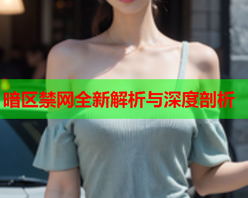 暗区禁网全新解析与深度剖析 暗区禁网全新解析与深度剖析
