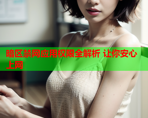 暗区禁网应用权限全解析 让你安心上网 暗区禁网应用权限全解析 让你安心上网