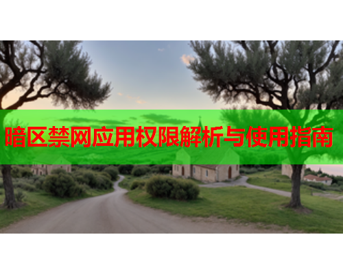 暗区禁网应用权限解析与使用指南 暗区禁网应用权限解析与使用指南