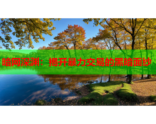 暗网深渊:揭开暴力交易的黑暗面纱 暗网深渊:揭开暴力交易的黑暗面纱