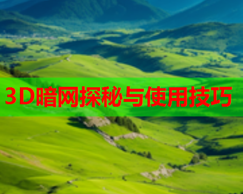 3D暗网探秘与使用技巧 3D暗网探秘与使用技巧
