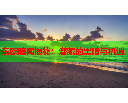 东欧暗网揭秘:潜藏的黑暗与机遇 东欧暗网揭秘:潜藏的黑暗与机遇