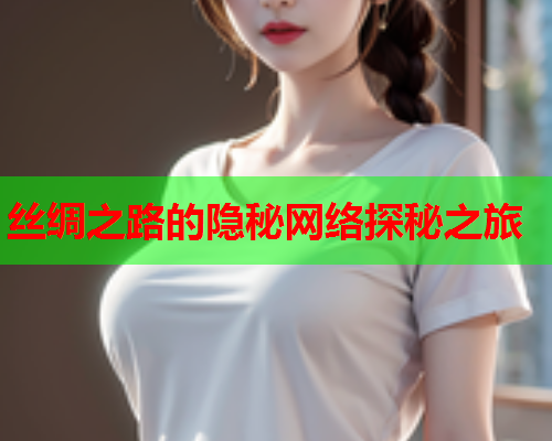 丝绸之路的隐秘网络探秘之旅 丝绸之路的隐秘网络探秘之旅