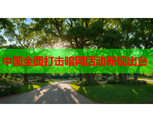 中国全面打击暗网活动新规出台 中国全面打击暗网活动新规出台