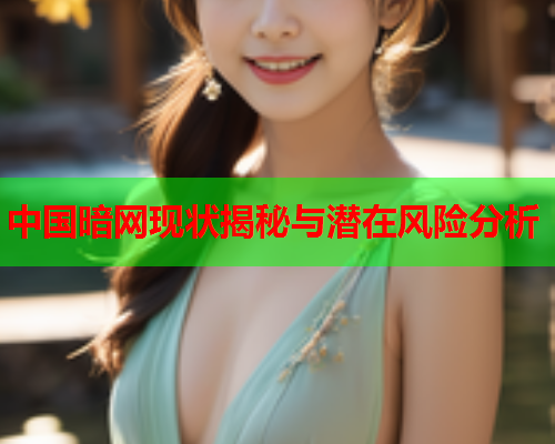 中国暗网现状揭秘与潜在风险分析 中国暗网现状揭秘与潜在风险分析