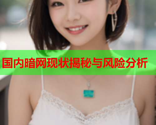 国内暗网现状揭秘与风险分析 国内暗网现状揭秘与风险分析