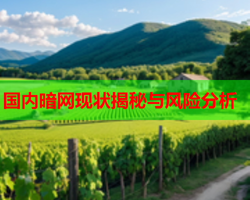 国内暗网现状揭秘与风险分析 国内暗网现状揭秘与风险分析