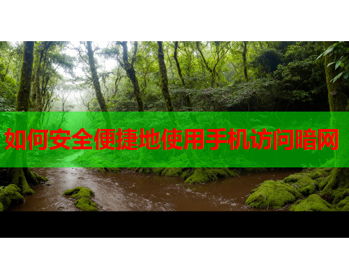 如何安全便捷地使用手机访问暗网 如何安全便捷地使用手机访问暗网
