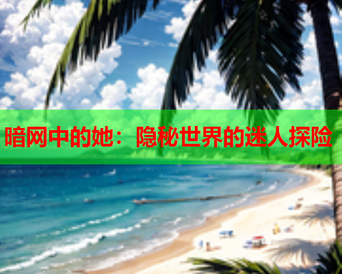暗网中的她:隐秘世界的迷人探险 暗网中的她:隐秘世界的迷人探险