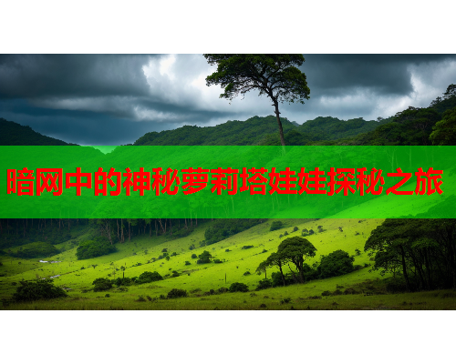 暗网中的神秘萝莉塔娃娃探秘之旅 暗网中的神秘萝莉塔娃娃探秘之旅