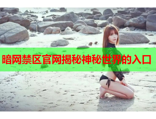 暗网禁区官网揭秘神秘世界的入口 暗网禁区官网揭秘神秘世界的入口
