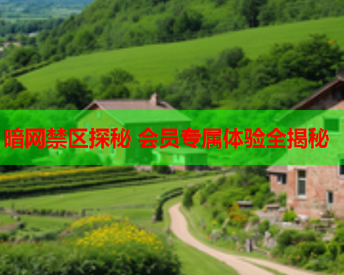 暗网禁区探秘 会员专属体验全揭秘 暗网禁区探秘 会员专属体验全揭秘