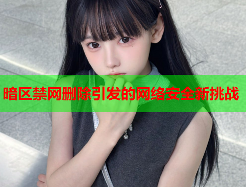 暗区禁网删除引发的网络安全新挑战 暗区禁网删除引发的网络安全新挑战