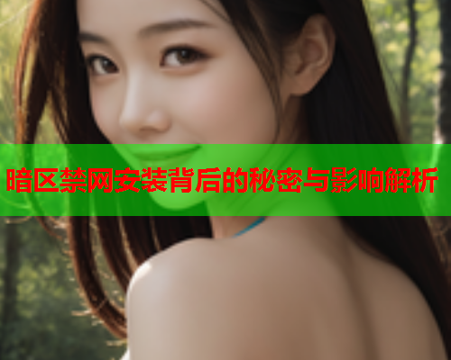 暗区禁网安装背后的秘密与影响解析 暗区禁网安装背后的秘密与影响解析