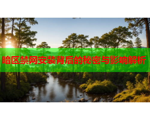 暗区禁网安装背后的秘密与影响解析 暗区禁网安装背后的秘密与影响解析