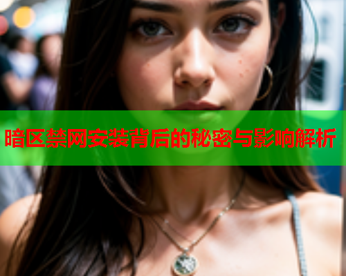 暗区禁网安装背后的秘密与影响解析 暗区禁网安装背后的秘密与影响解析