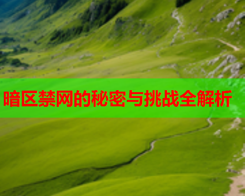 暗区禁网的秘密与挑战全解析 暗区禁网的秘密与挑战全解析