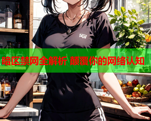 暗区禁网全解析 颠覆你的网络认知 暗区禁网全解析 颠覆你的网络认知