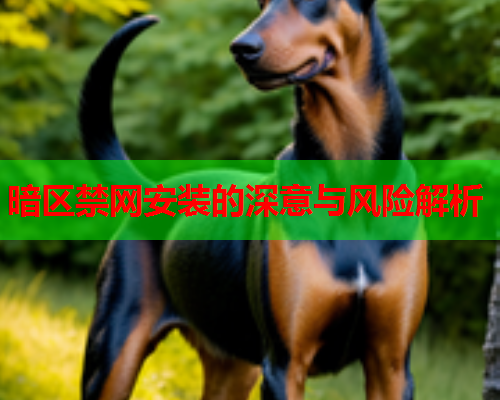 暗区禁网安装的深意与风险解析 暗区禁网安装的深意与风险解析
