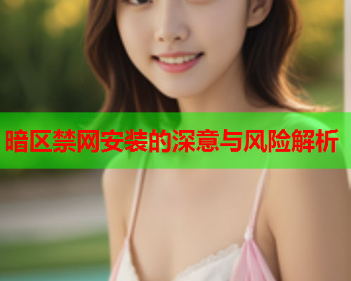 暗区禁网安装的深意与风险解析 暗区禁网安装的深意与风险解析