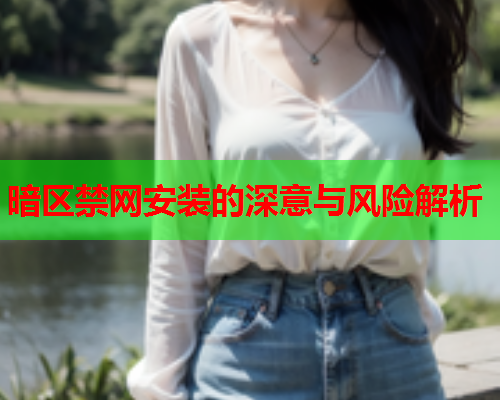 暗区禁网安装的深意与风险解析 暗区禁网安装的深意与风险解析