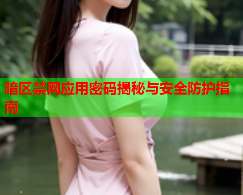 暗区禁网应用密码揭秘与安全防护指南 暗区禁网应用密码揭秘与安全防护指南