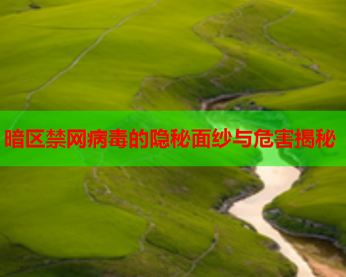 暗区禁网病毒的隐秘面纱与危害揭秘 暗区禁网病毒的隐秘面纱与危害揭秘