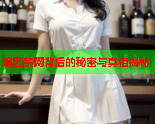 暗区禁网背后的秘密与真相揭秘 暗区禁网背后的秘密与真相揭秘