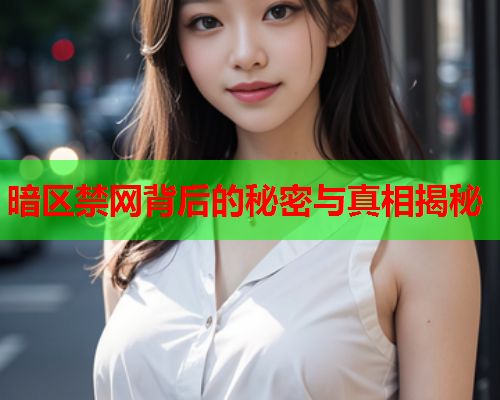 暗区禁网背后的秘密与真相揭秘 暗区禁网背后的秘密与真相揭秘