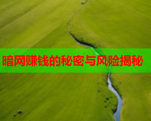 暗网赚钱的秘密与风险揭秘 暗网赚钱的秘密与风险揭秘