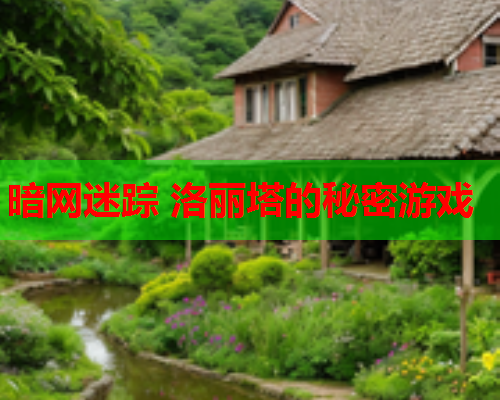 暗网迷踪 洛丽塔的秘密游戏 暗网迷踪 洛丽塔的秘密游戏