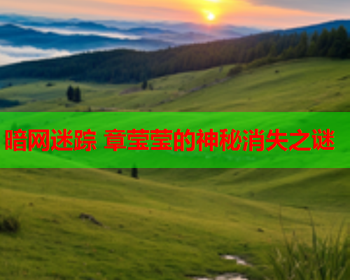 暗网迷踪 章莹莹的神秘消失之谜 暗网迷踪 章莹莹的神秘消失之谜