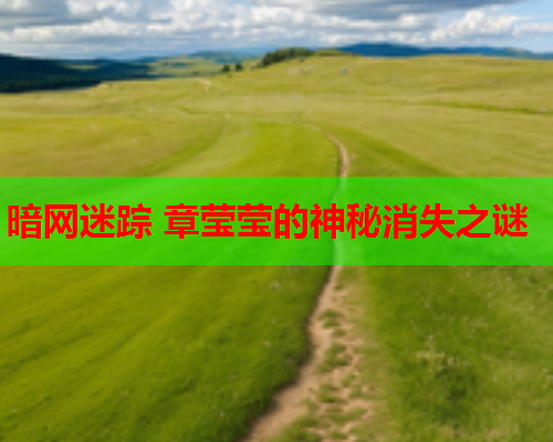 暗网迷踪 章莹莹的神秘消失之谜 暗网迷踪 章莹莹的神秘消失之谜
