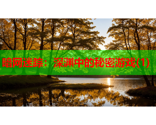 暗网迷踪:深渊中的秘密游戏(1) 暗网迷踪:深渊中的秘密游戏(1)