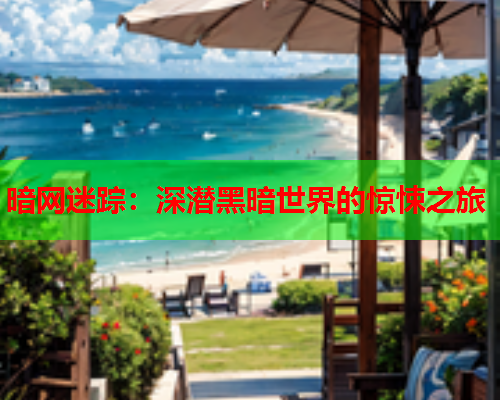暗网迷踪:深潜黑暗世界的惊悚之旅 暗网迷踪:深潜黑暗世界的惊悚之旅