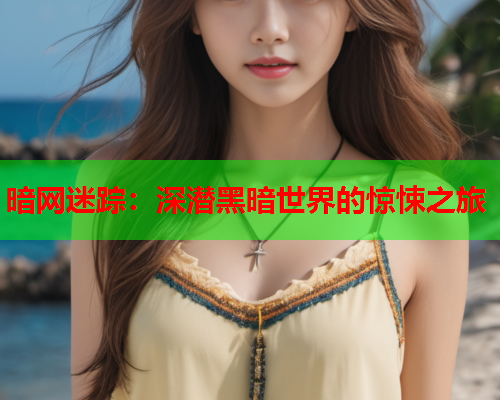 暗网迷踪:深潜黑暗世界的惊悚之旅 暗网迷踪:深潜黑暗世界的惊悚之旅