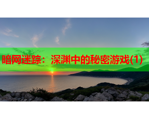 暗网迷踪:深渊中的秘密游戏(1) 暗网迷踪:深渊中的秘密游戏(1)