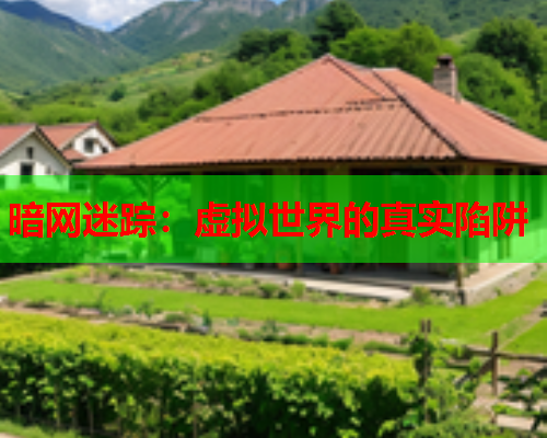 暗网迷踪:虚拟世界的真实陷阱 暗网迷踪:虚拟世界的真实陷阱