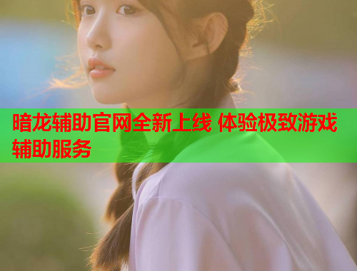 暗龙辅助官网全新上线 体验极致游戏辅助服务 暗龙辅助官网全新上线 体验极致游戏辅助服务