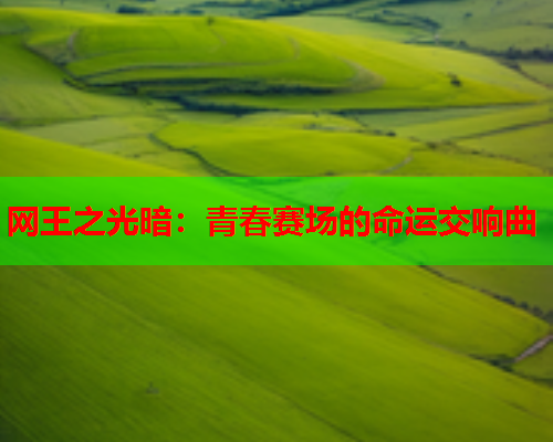 网王之光暗:青春赛场的命运交响曲 网王之光暗:青春赛场的命运交响曲
