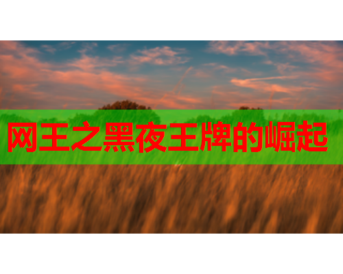 网王之黑夜王牌的崛起 网王之黑夜王牌的崛起