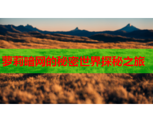 萝莉暗网的秘密世界探秘之旅 萝莉暗网的秘密世界探秘之旅