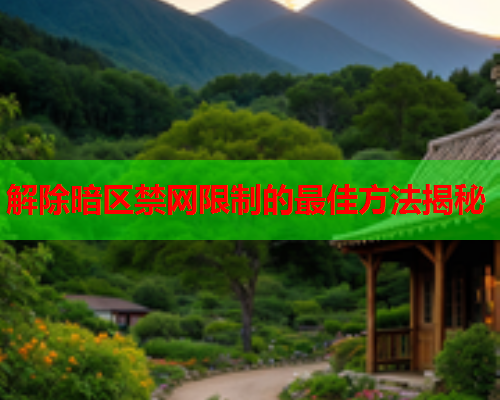解除暗区禁网限制的最佳方法揭秘 解除暗区禁网限制的最佳方法揭秘