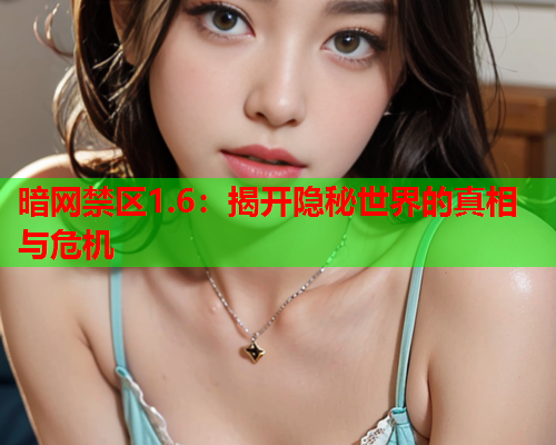 暗网禁区1.6:揭开隐秘世界的真相与危机 暗网禁区1.6:揭开隐秘世界的真相与危机