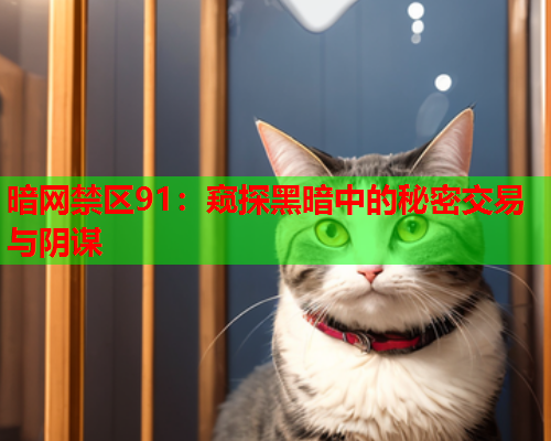 暗网禁区91:窥探黑暗中的秘密交易与阴谋 暗网禁区91:窥探黑暗中的秘密交易与阴谋