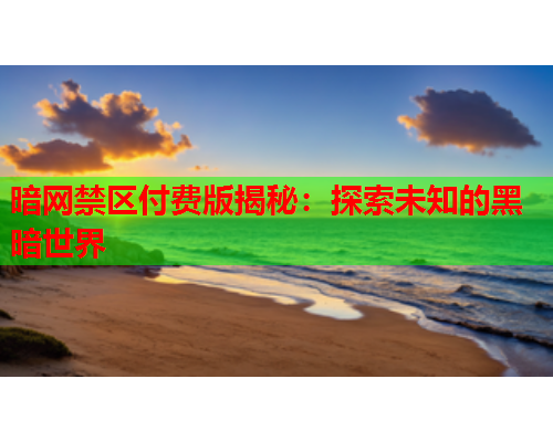 暗网禁区付费版揭秘:探索未知的黑暗世界 暗网禁区付费版揭秘:探索未知的黑暗世界